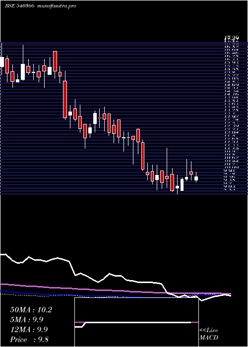 weekly chart Radiocity