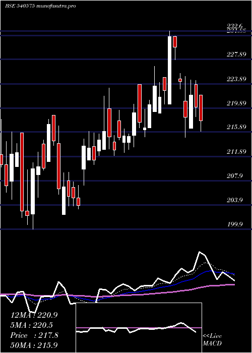  Daily chart Starcement
