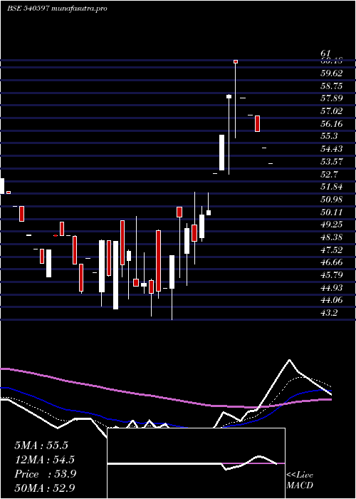 Daily chart Container