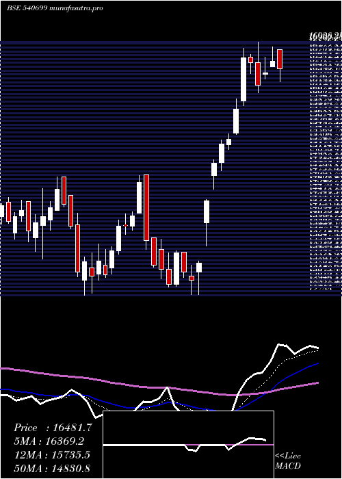  Daily chart Dixon