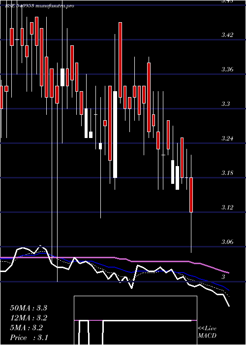  Daily chart Kenvi