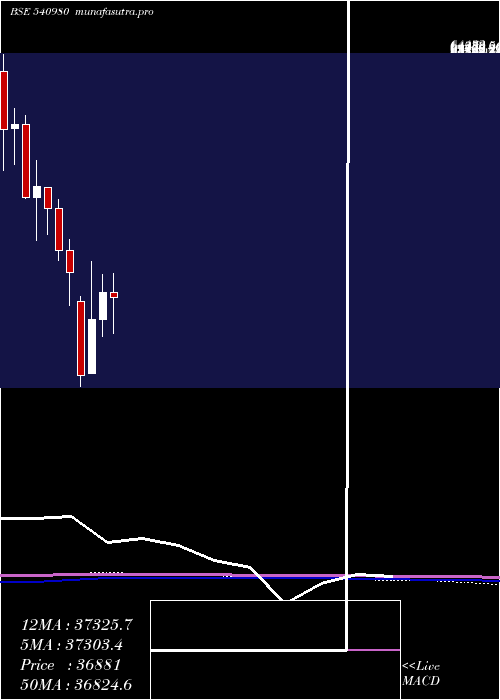 monthly chart Ysl