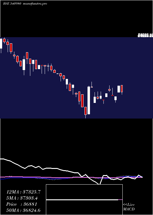 weekly chart Ysl