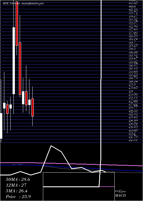 monthly chart Palmjewels