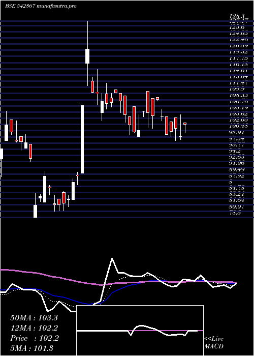 Daily chart Xelpmoc