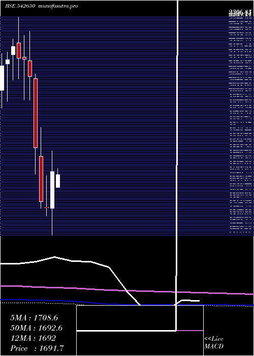 monthly chart Metropolis