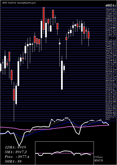 Daily chart Fluorochem