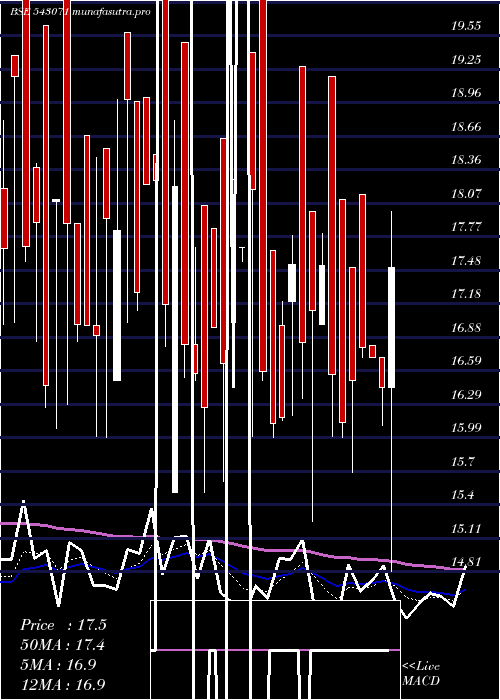 Daily chart 07agg