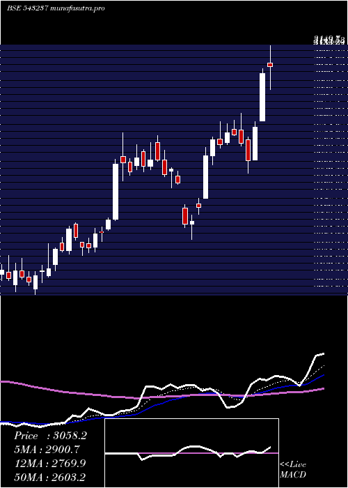 Daily chart Mazdock