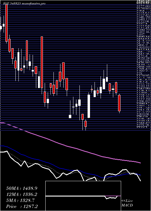 Daily chart Rolexrings