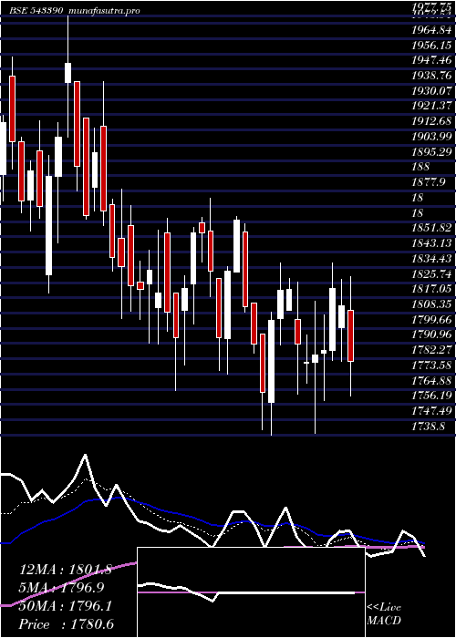  Daily chart Policybzr