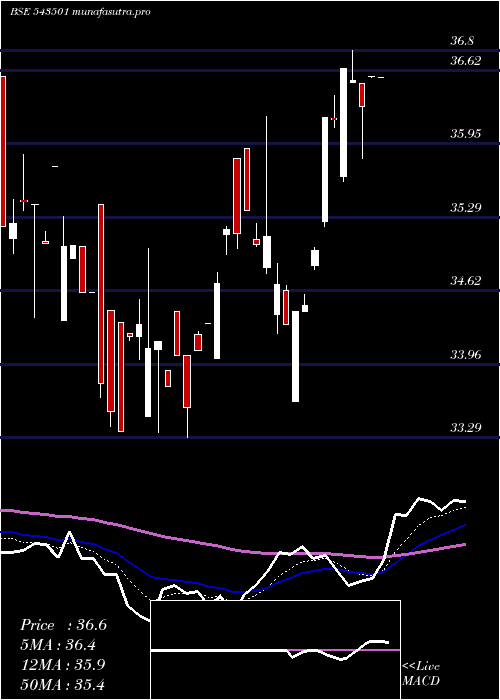 Daily chart Molowvol