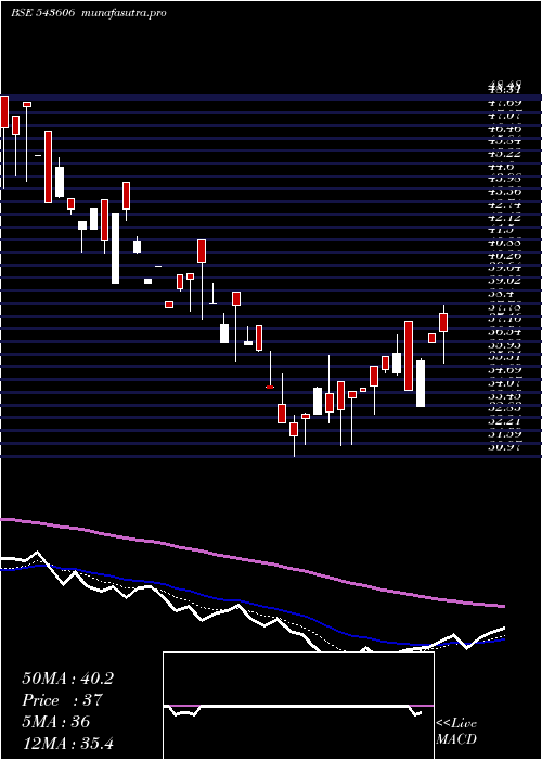 Daily chart Containe