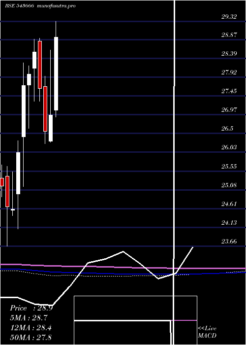 monthly chart Hdfcpvtban
