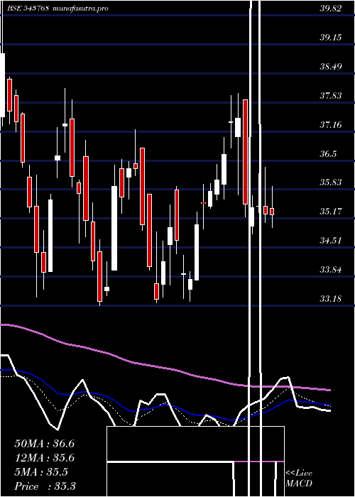 Daily chart Nslnisp