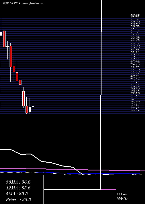monthly chart Nslnisp