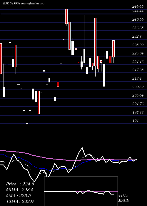 Daily chart Rhl