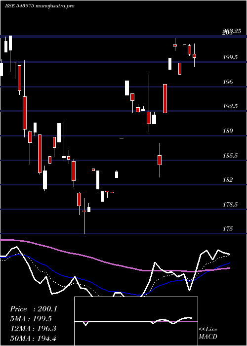  Daily chart Nifmid150