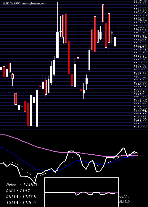  Daily chart Signature