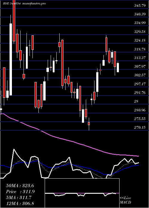 Daily chart Surajest