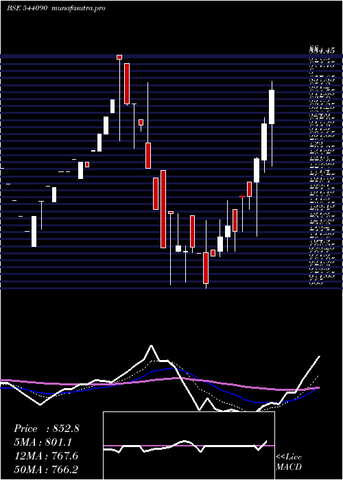Daily chart Shplpune