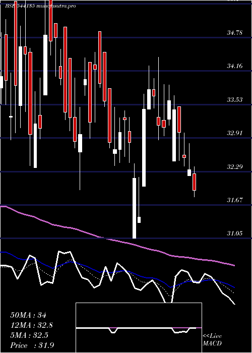 Daily chart Mukka