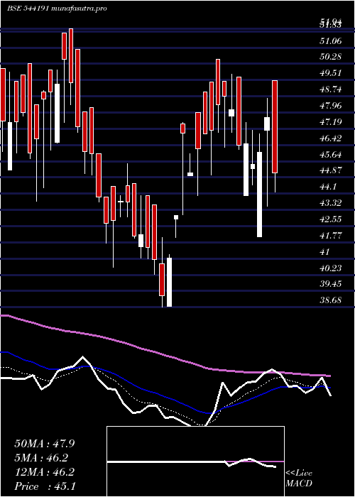  Daily chart Purplefin