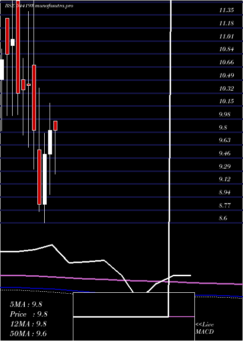 monthly chart Mid150case