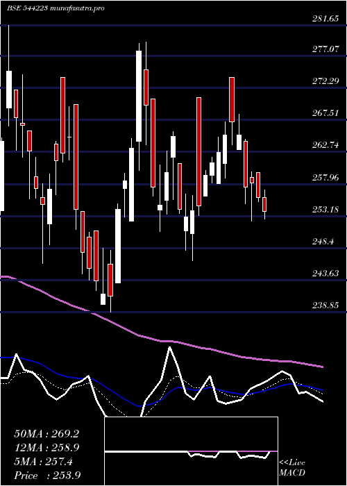  Daily chart CeigallIndia