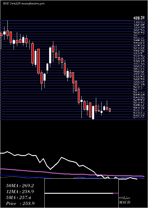  weekly chart CeigallIndia