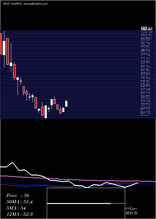 weekly chart JungleCamps