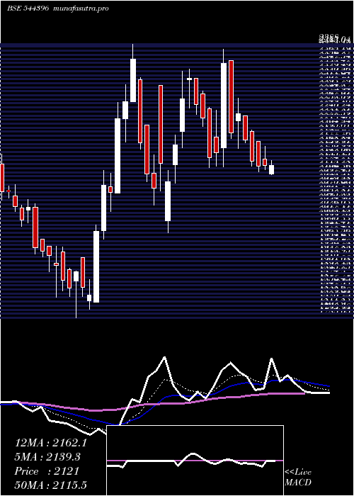 Daily chart NetworkPeople