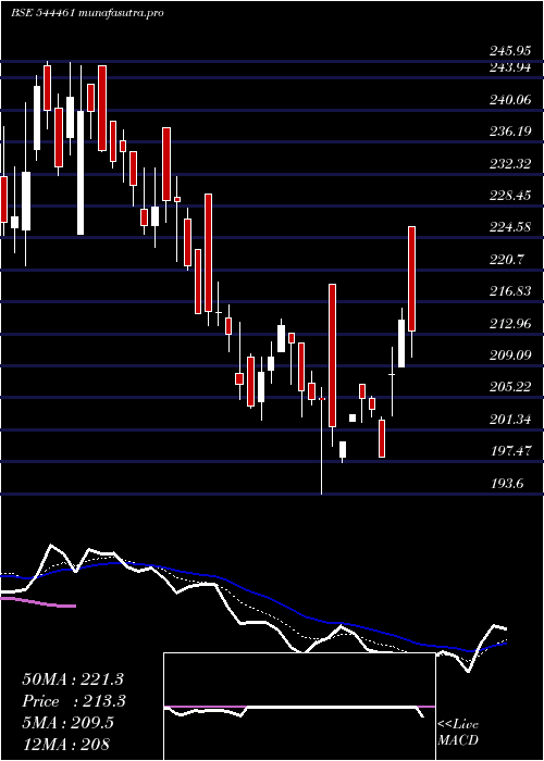 Daily chart EuroPanel