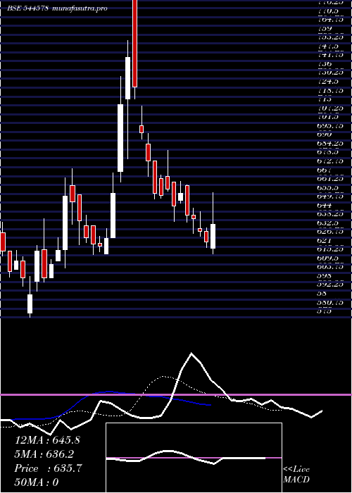 Daily chart RubiconResearch