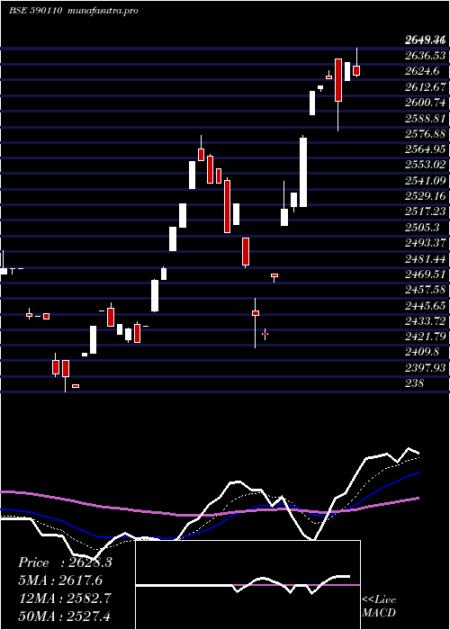 Daily chart QuantumIndx