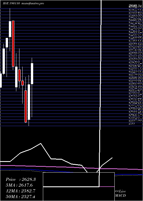 monthly chart QuantumIndx