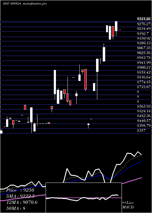 Daily chart Sgbjuly28