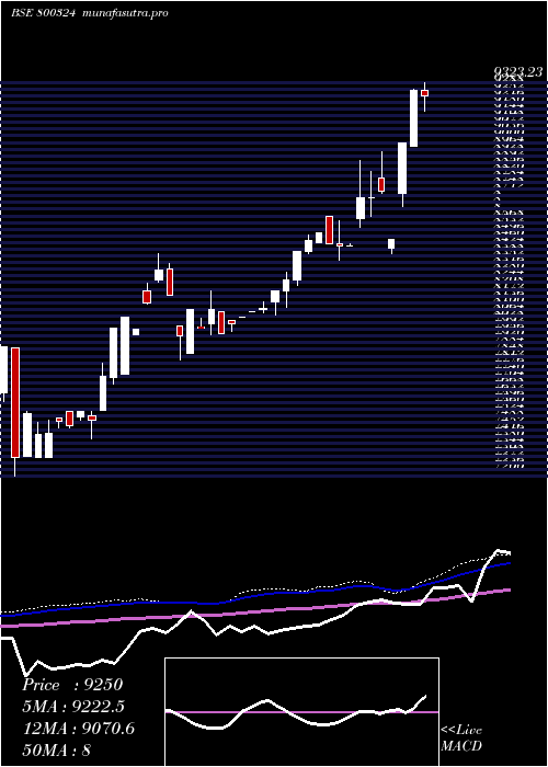 weekly chart Sgbjuly28