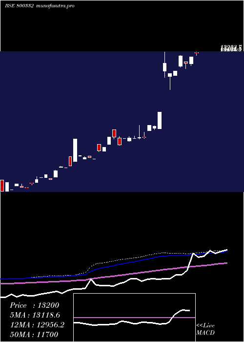 weekly chart Sgbjan29a