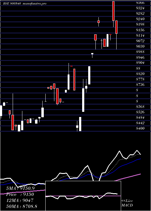 Daily chart Sgbmay29