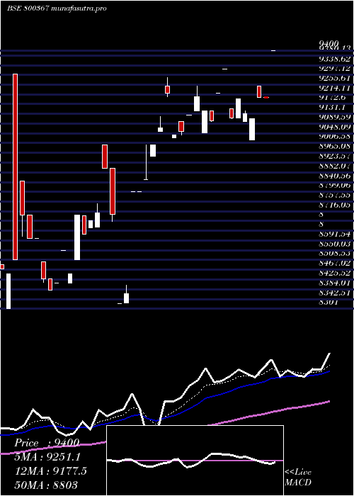 Daily chart Sgbjuly29