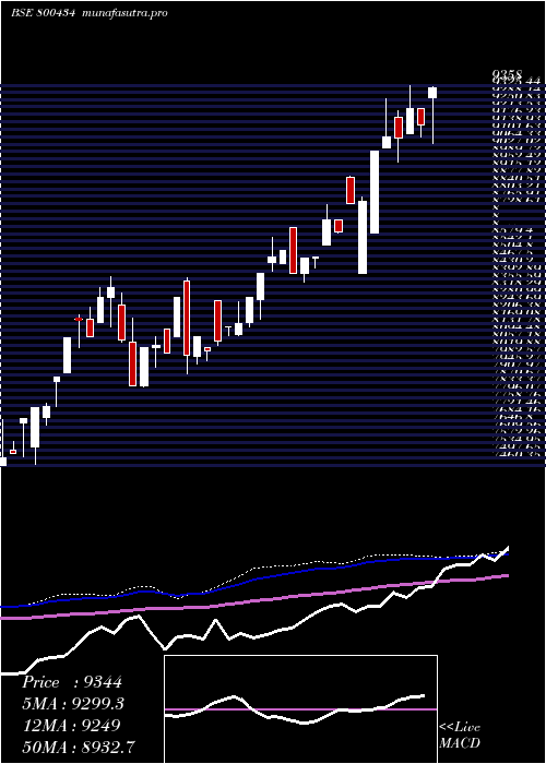 weekly chart Sgbnov29