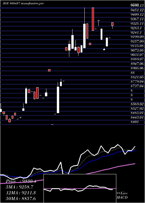 Daily chart Sgbdec29