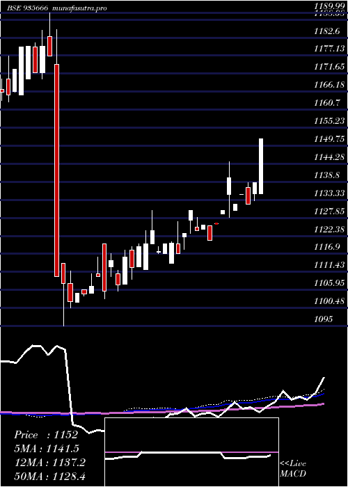 weekly chart 769nhai31