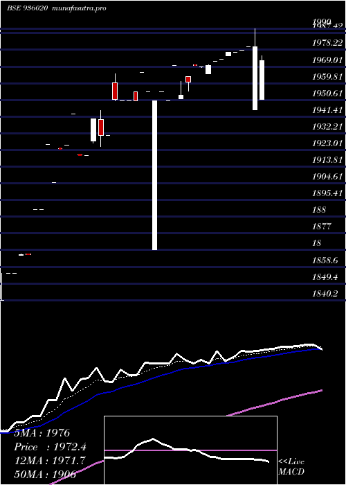 Daily chart 0mfl25a