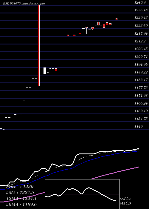 Daily chart Mflvi25