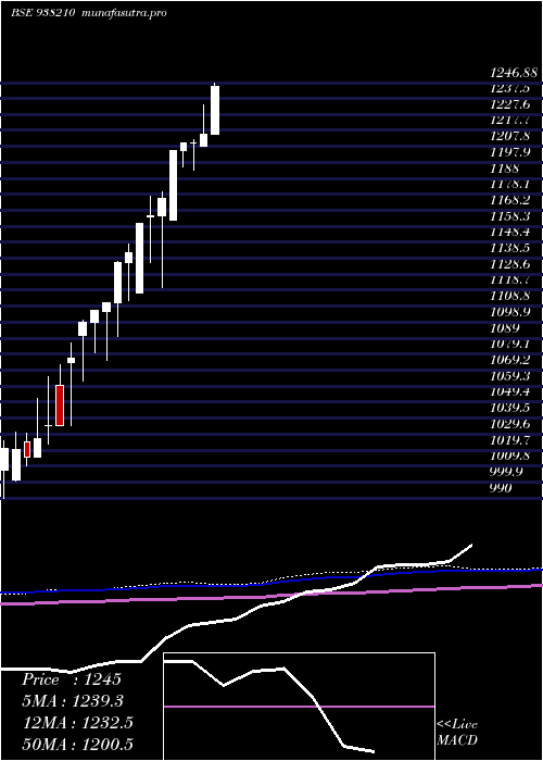monthly chart Efsl201022a