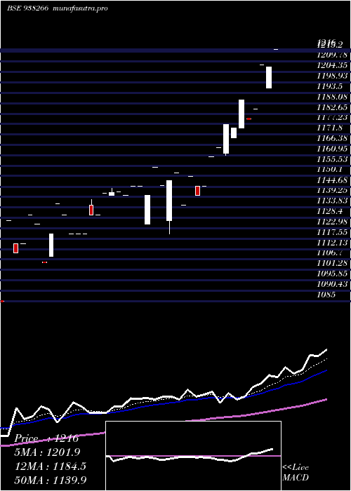 Daily chart Mfltdvi25