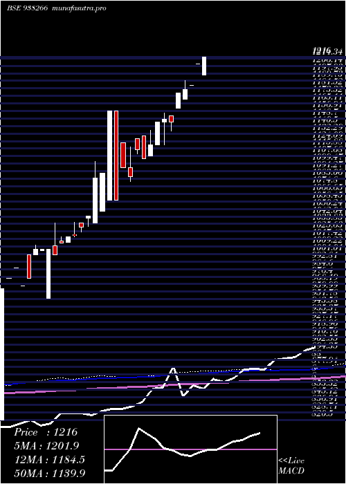 monthly chart Mfltdvi25