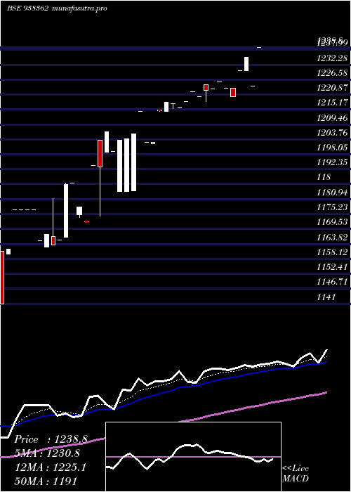Daily chart Zcefsl26